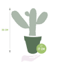 Opuntia consulea afmetingen